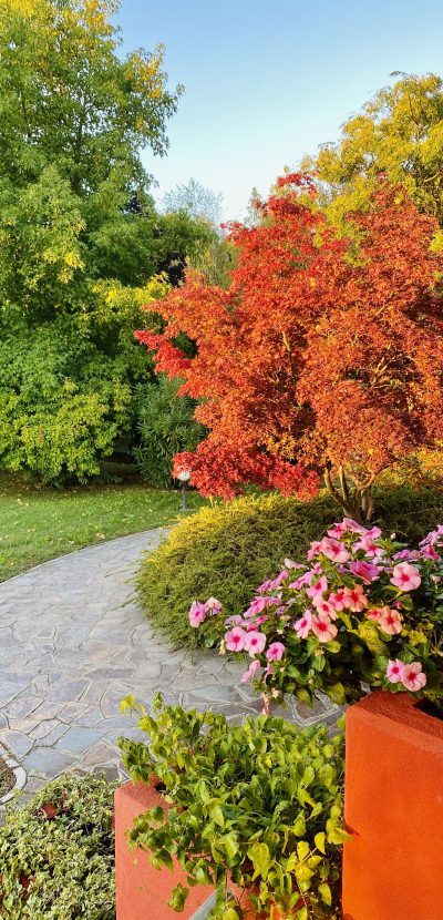 warm-autumn-colours-early-morning-in-italy-2026-01-06-09-32-22-utc